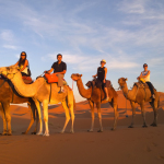 Camel Ride!