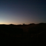 Camel in the Sunrise